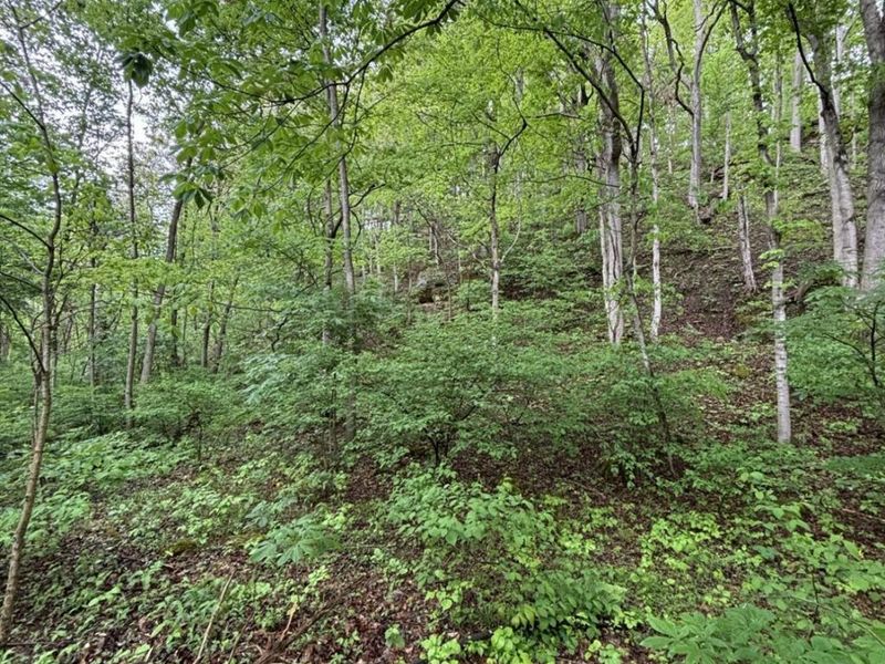 16200 US 52, Monroe Township, OH 45144 Photo 15