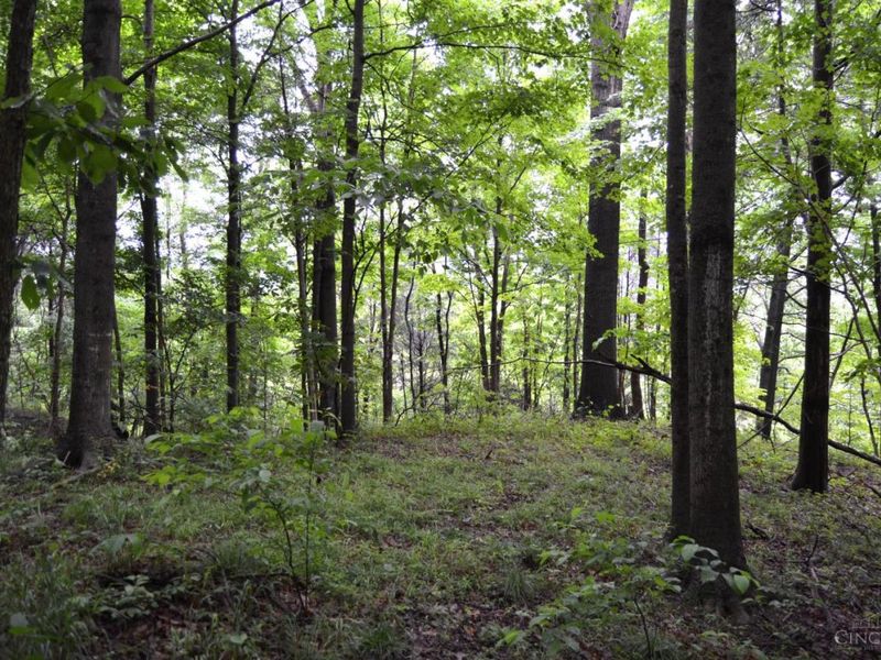 16200 US 52, Monroe Township, OH 45144 Photo 5