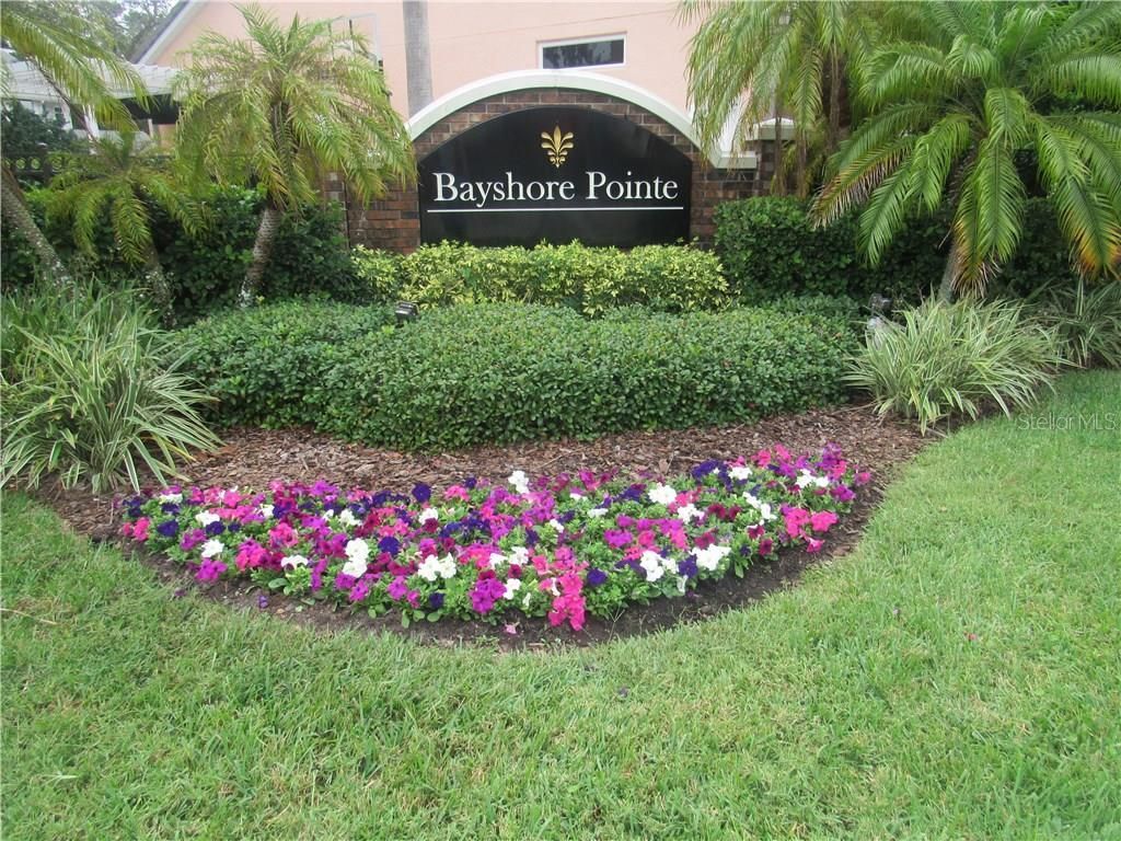 2914 Bayshore Pointe Drive, Tampa, FL 33611 Photo