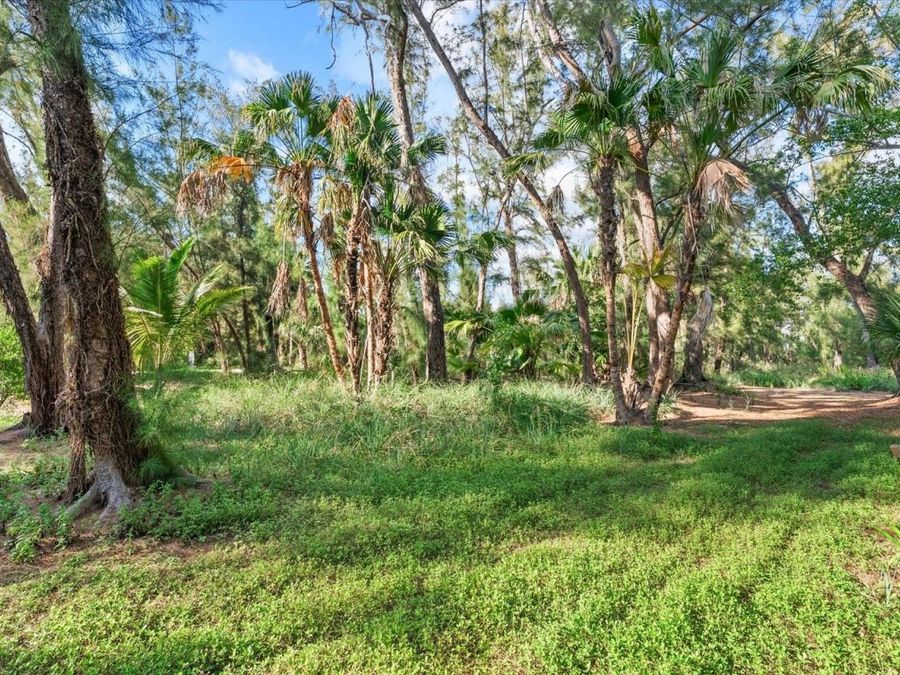 Property Image 63