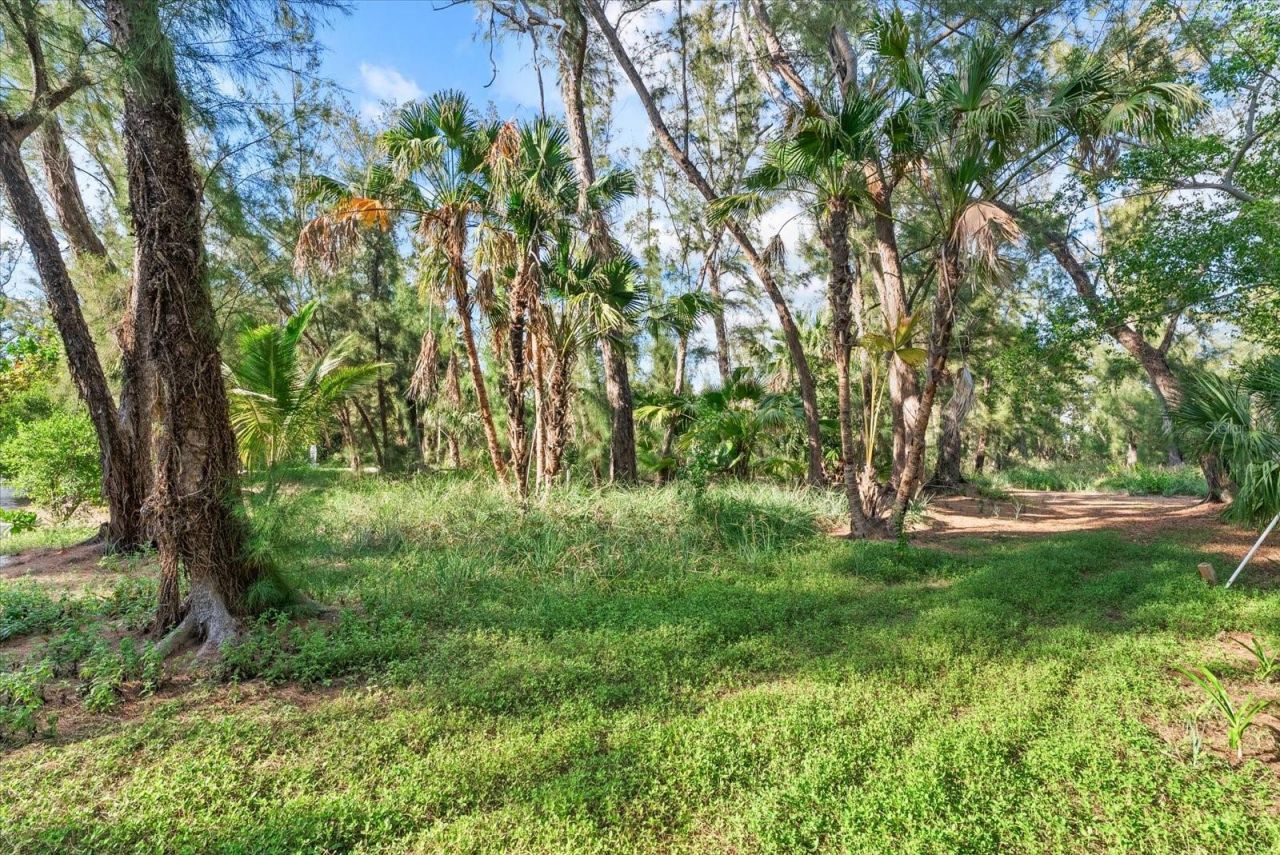 7143 La Lenaire Drive, Longboat Key, FL 34228 Photo