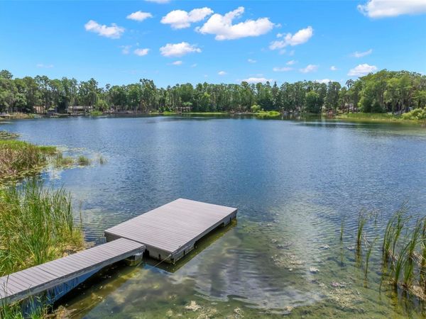 17309 N DALE MABRY HIGHWAY , LUTZ, FL 33548
