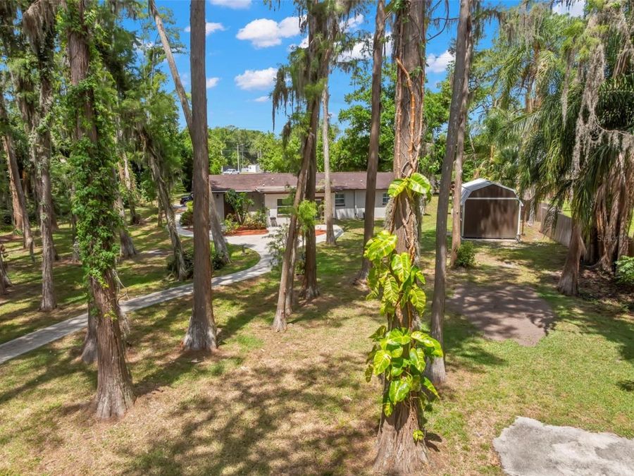 Property Image 46