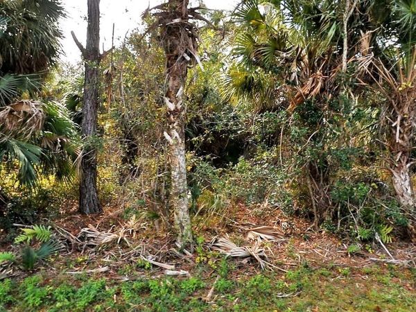 VOGLER LANE , NORTH PORT, FL 34286