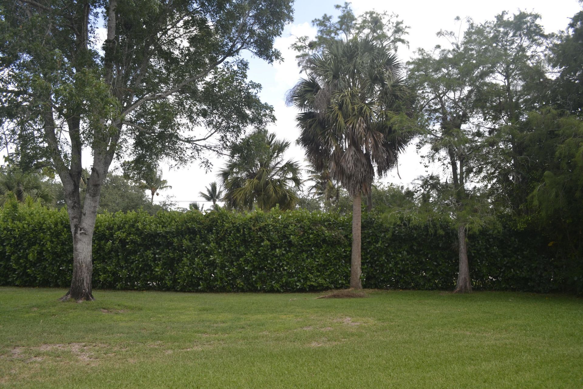 1104 Raintree Lane, Wellington, FL 33414 Photo