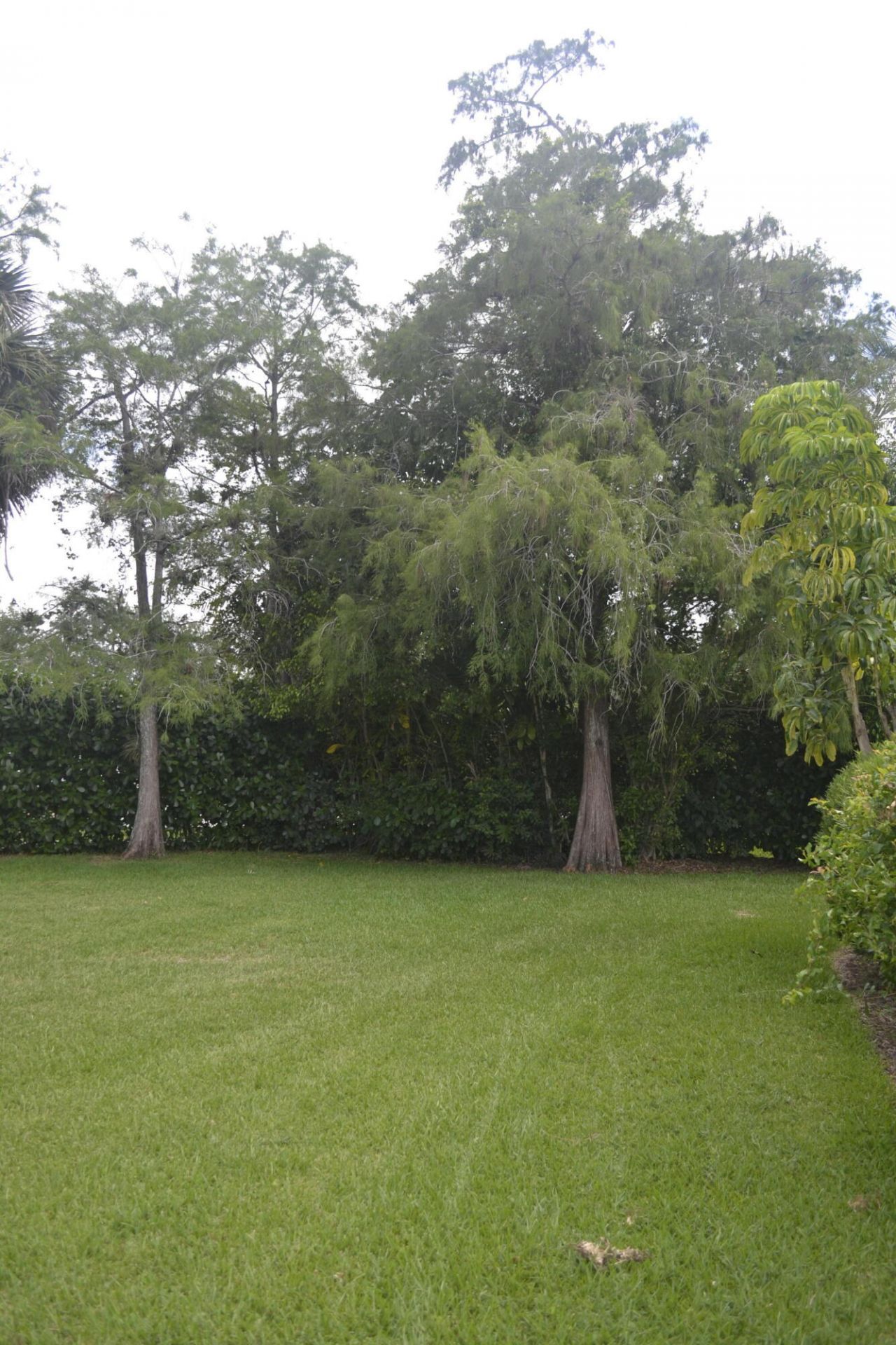 1104 Raintree Lane, Wellington, FL 33414 Photo
