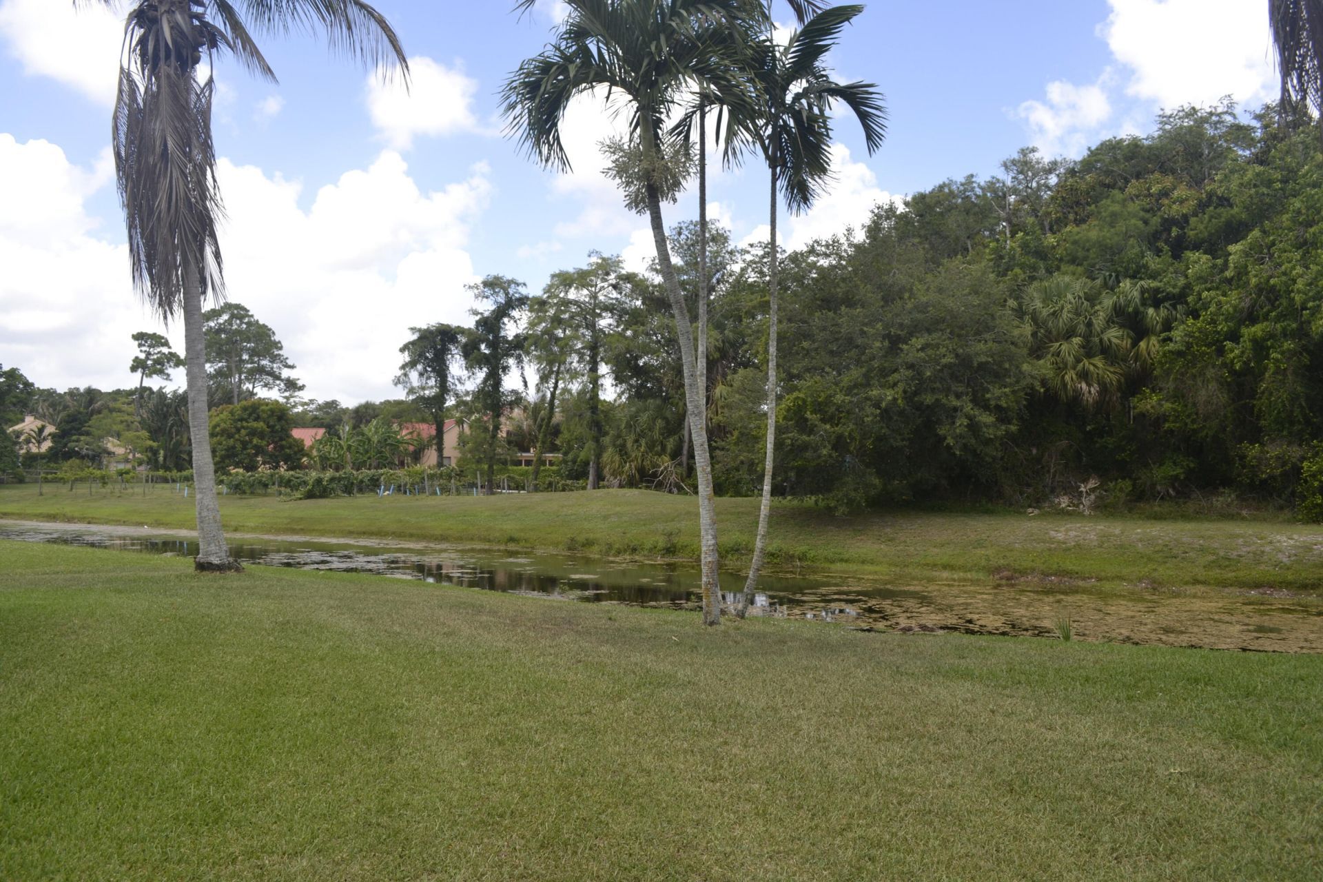 1104 Raintree Lane, Wellington, FL 33414 Photo