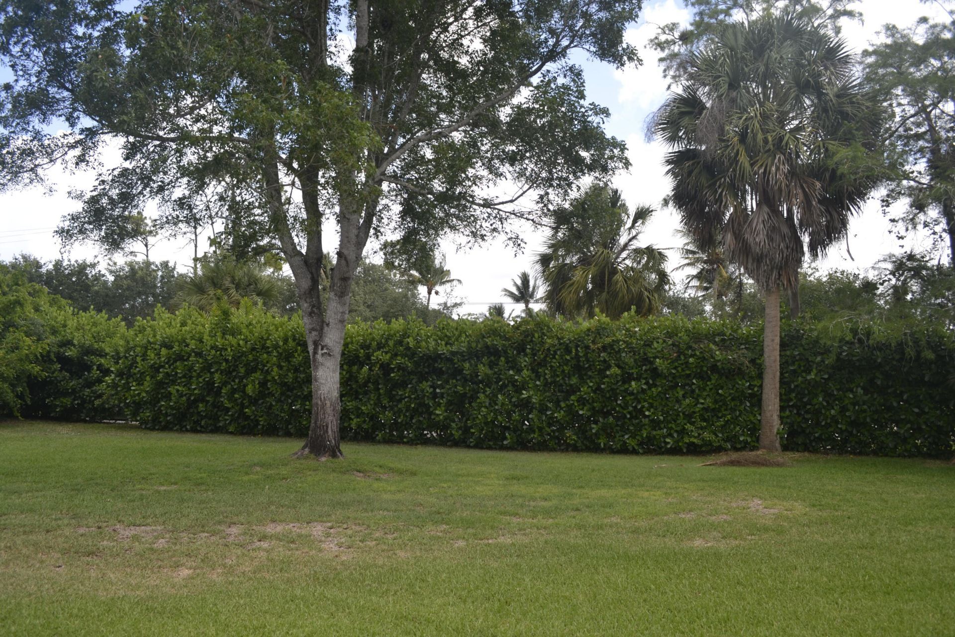 1104 Raintree Lane, Wellington, FL 33414 Photo