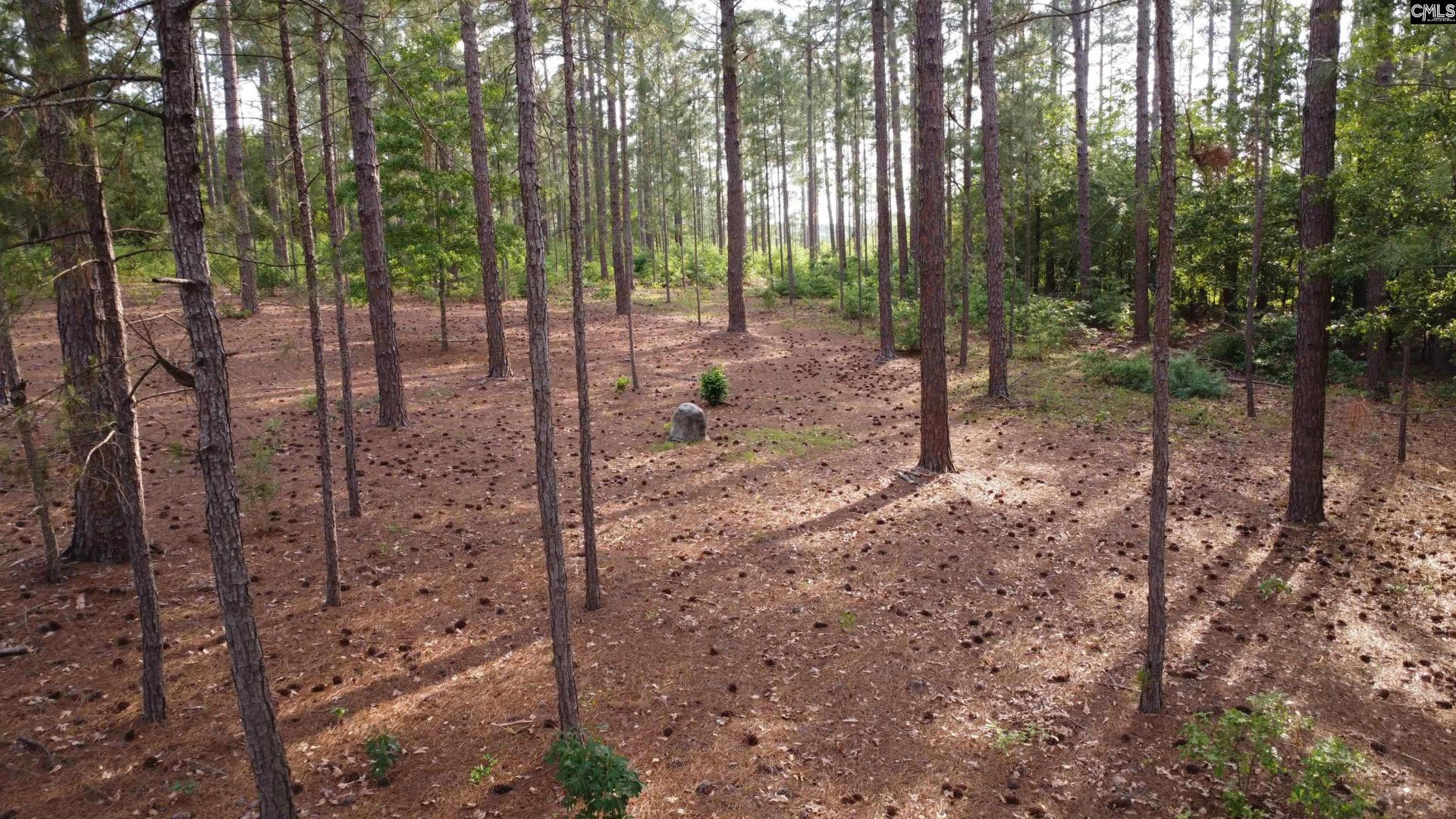 0 Little Creek Drive  Photo 11