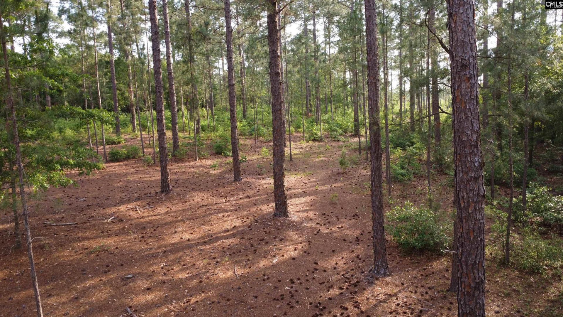 0 Little Creek Drive  Photo 12