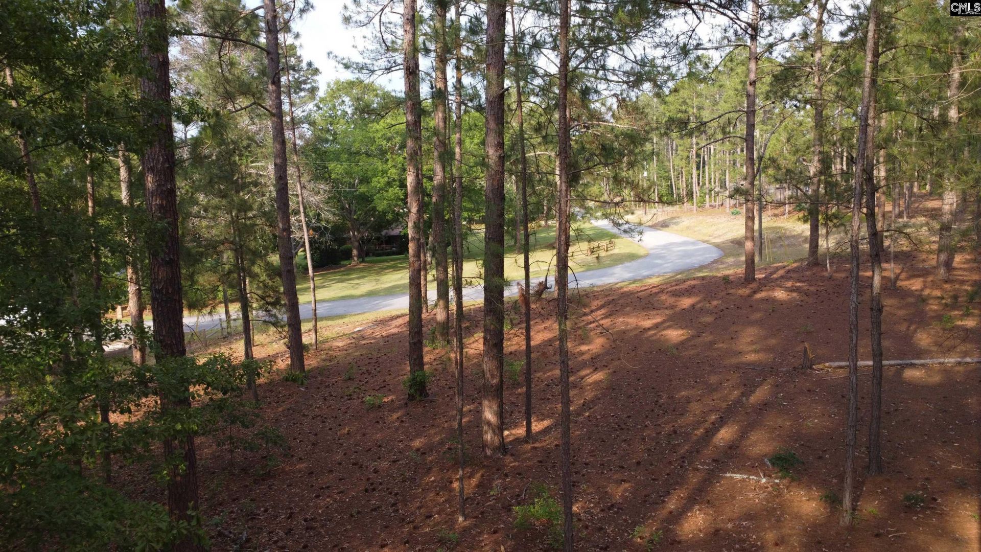 0 Little Creek Drive  Photo 13