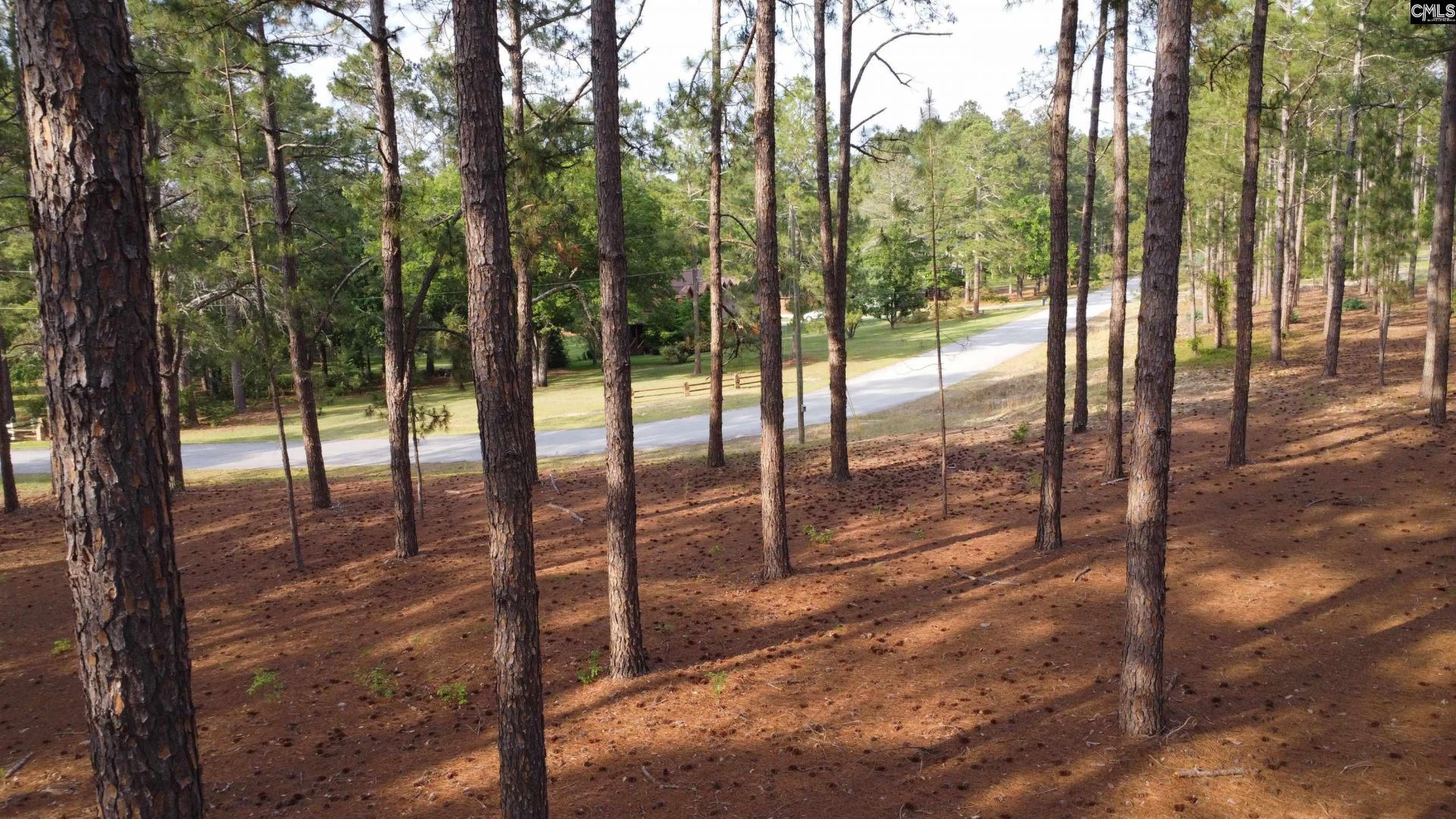 0 Little Creek Drive  Photo 14