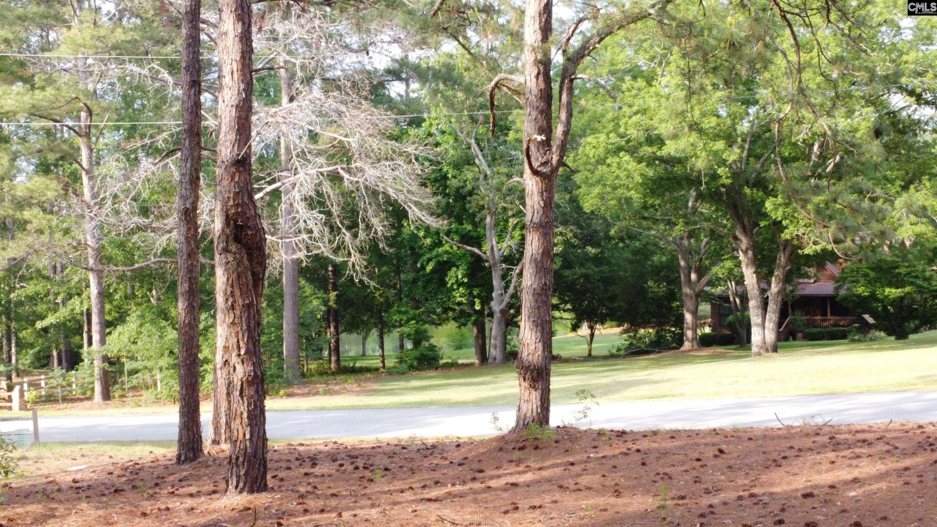 0 Little Creek Drive  Photo 15
