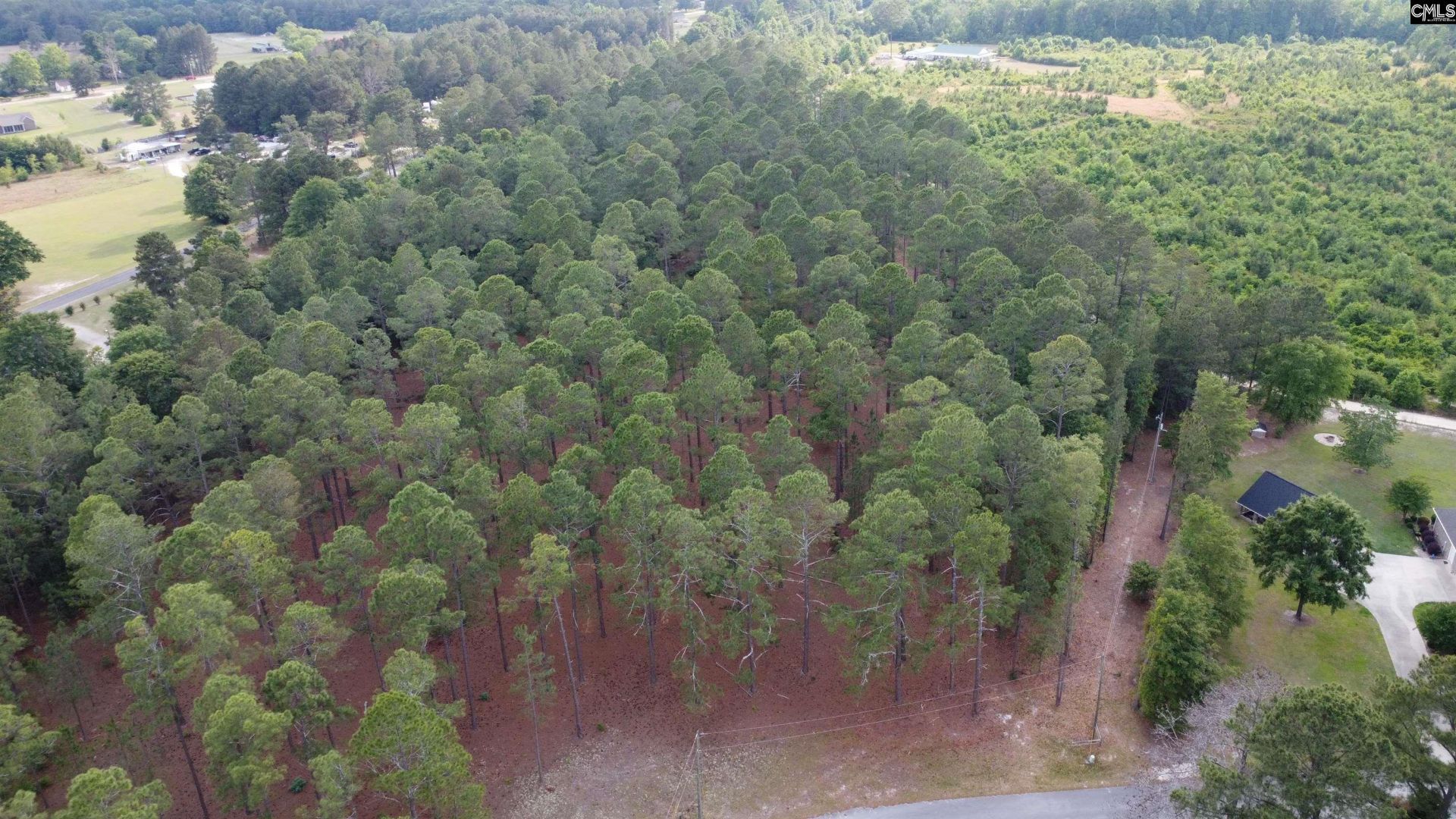 0 Little Creek Drive  Photo 16