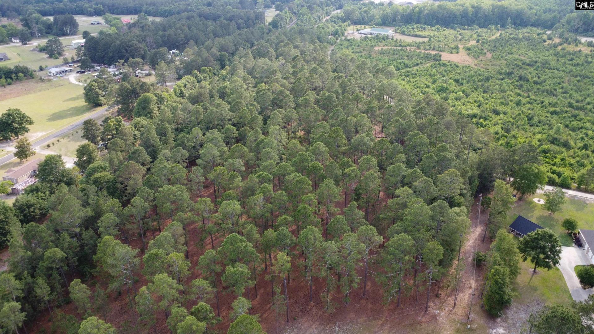 0 Little Creek Drive  Photo 17