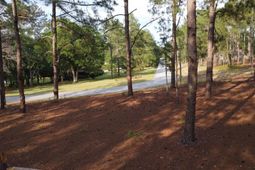 0 Little Creek Drive  photo 4