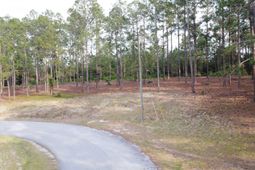 0 Little Creek Drive  photo 4