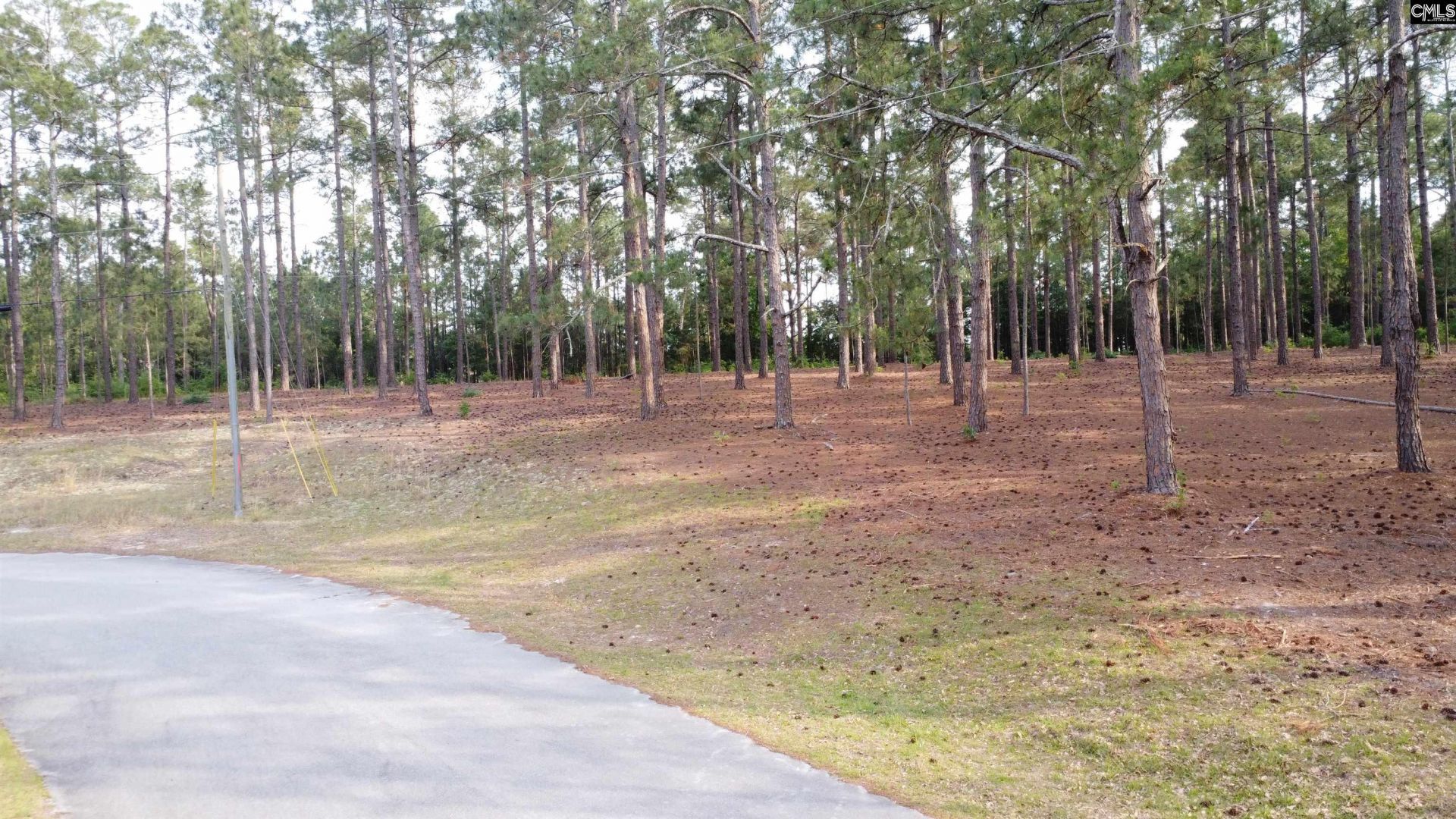 0 Little Creek Drive  Photo 4