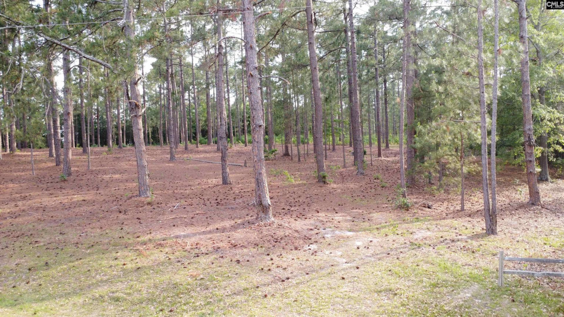 0 Little Creek Drive  Photo 5