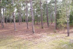 0 Little Creek Drive  photo 4