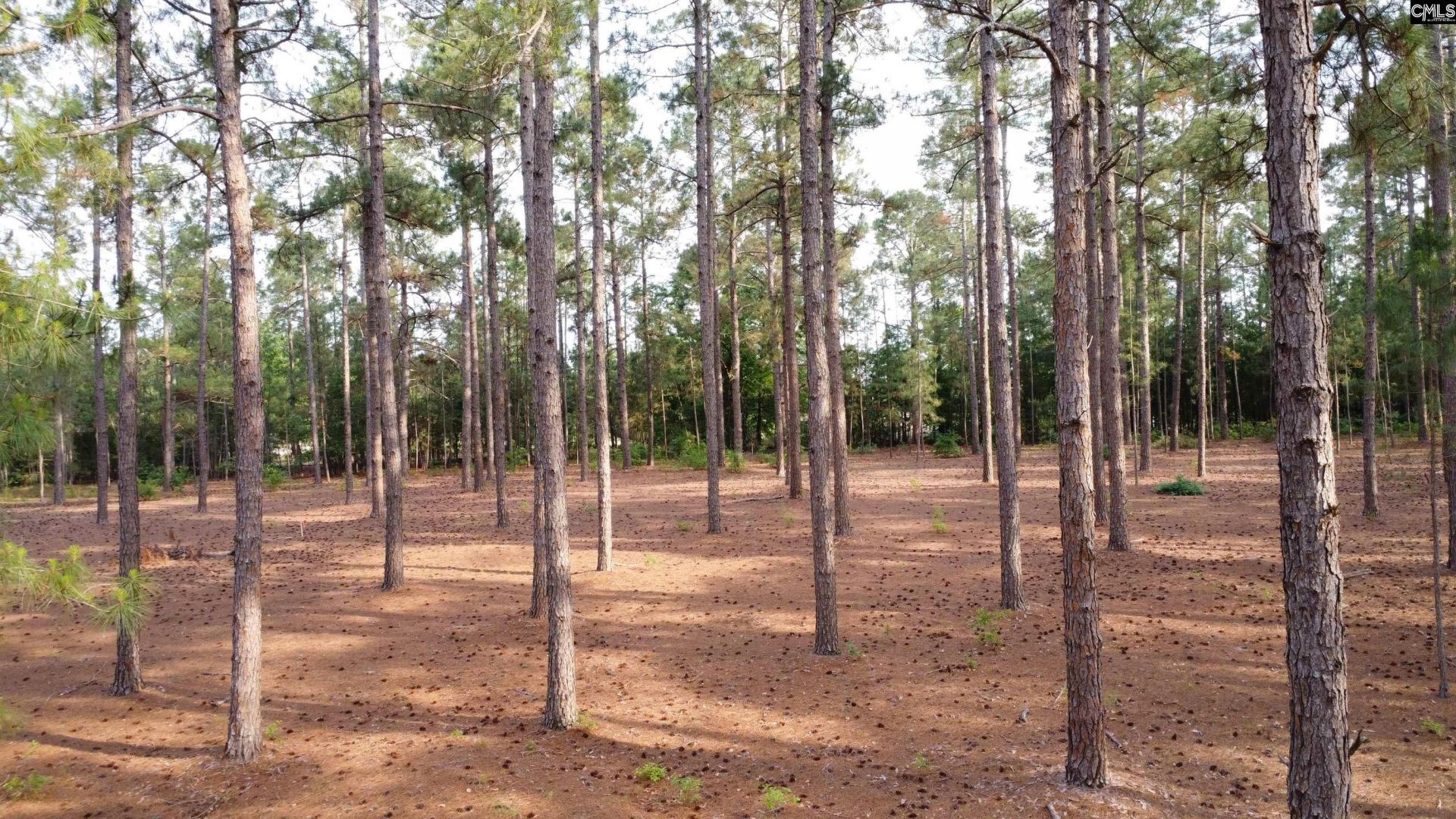 0 Little Creek Drive  Photo 8