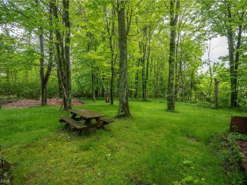 6665 Clingan Road , Poland, OH 44514 Photo 10