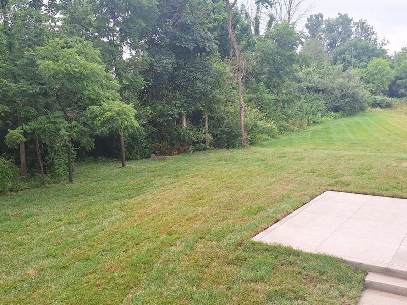 10574 Red Fir Court, Plain City, OH 43064 Photo 6