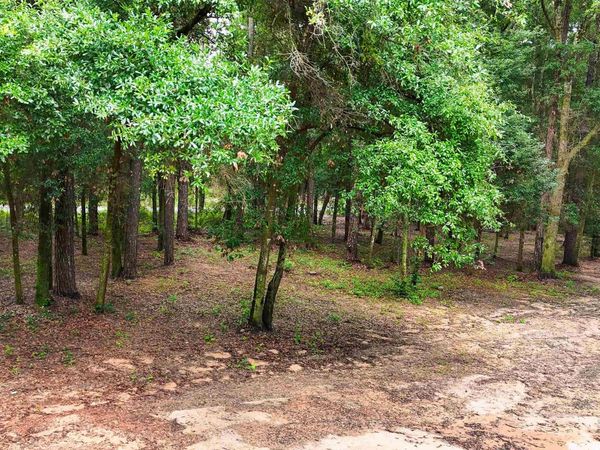 14149 Specs Lane, Summerdale, AL 36580