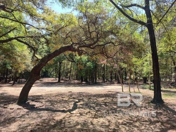 14149 Specs Lane, Summerdale, AL 36580