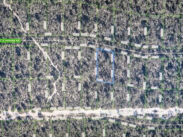 2137 BIRD OF PARADISE AVENUE , SEBRING, FL 33875