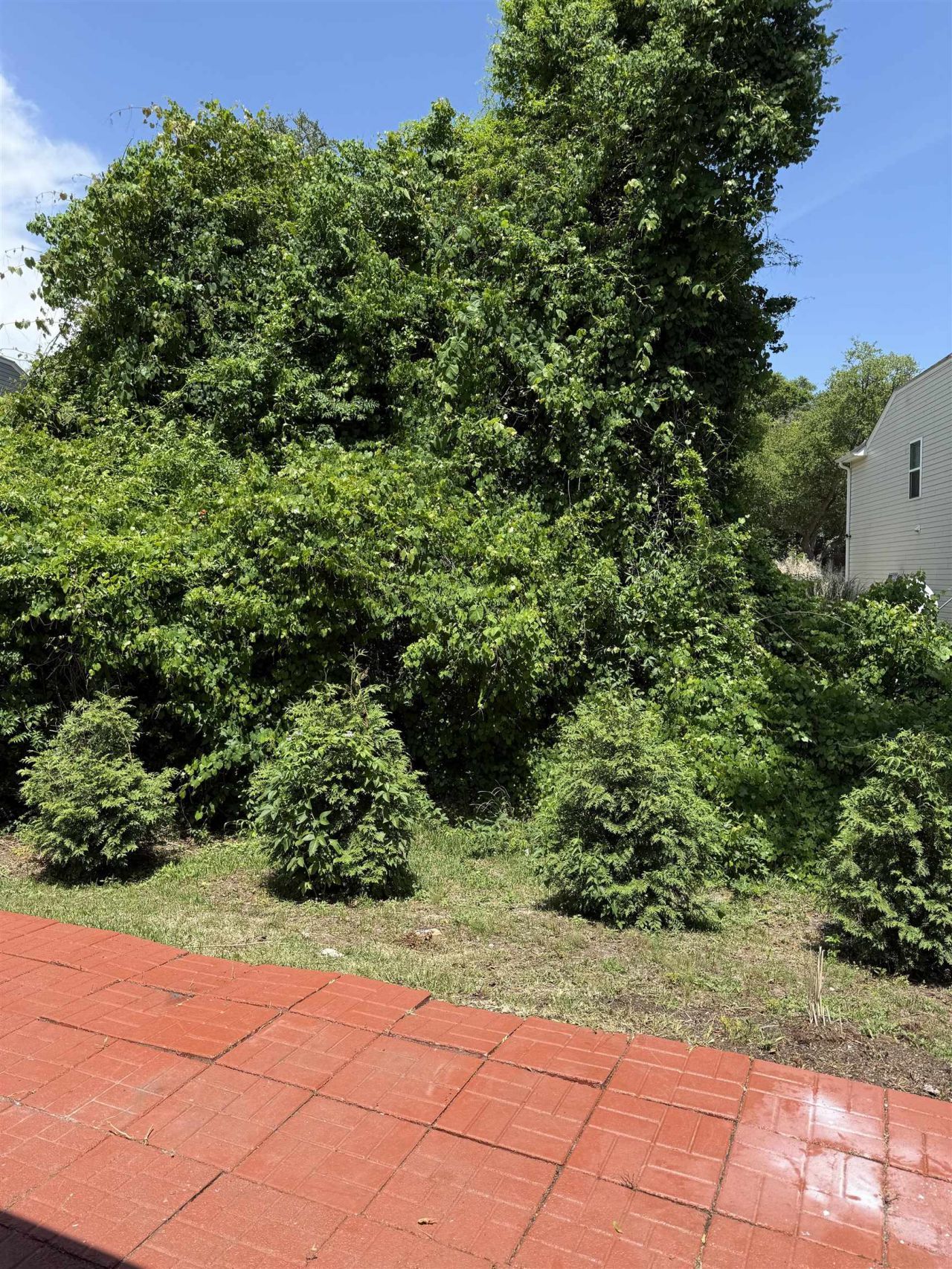 1444a Bessant Ave.  Photo 4