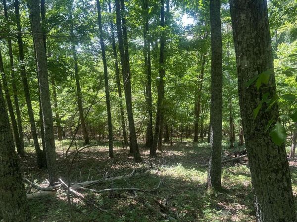 0 Owl Ridge Way, Jasper, GA 30143