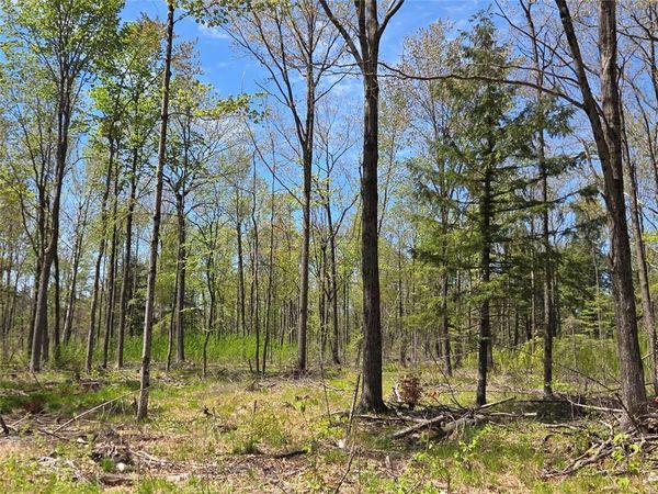 On Circle Drive, Brantwood, WI 54513