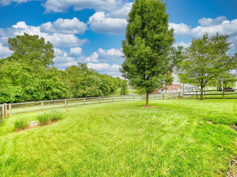 3092 Bruces Trail, Independence, KY 41051 Photo 6