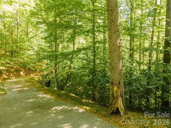 52 Morningside Drive , Tuckasegee, NC 28783