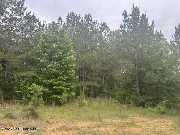 1048 Williamson Road, Wesson, MS 39191