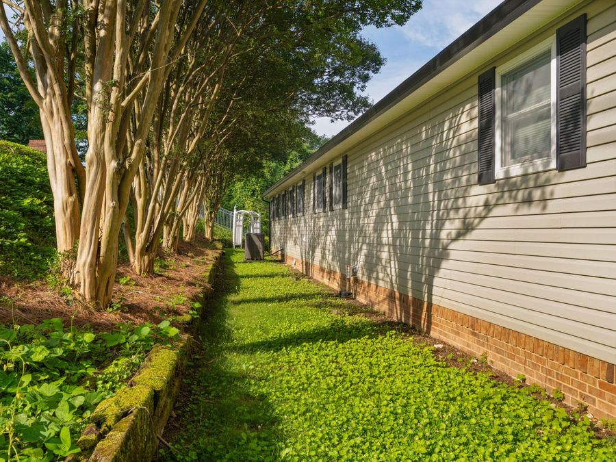 Property Image 60