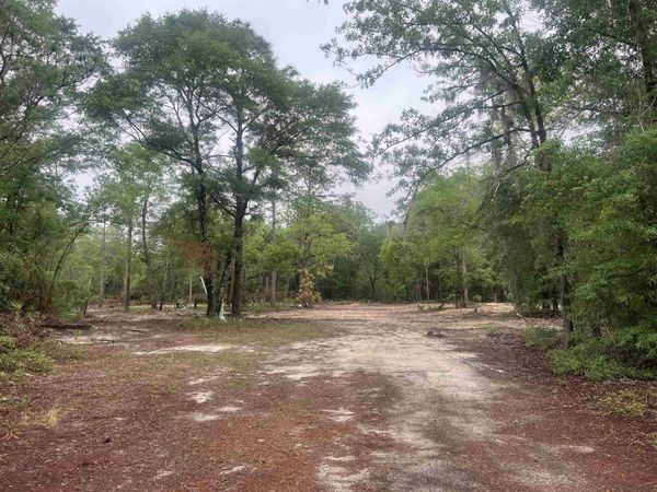45 Old Fereal Highway , Quincy, FL 32351
