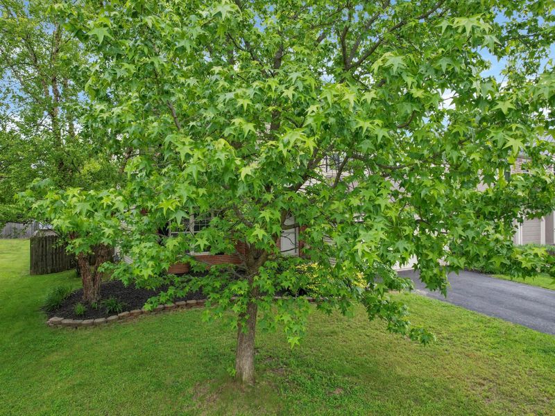 1360 Great Hunter Court, Grove City, OH 43123 Photo 57