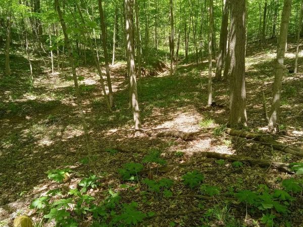 11583 Sinking Spring Road, Hillsboro, OH 45133