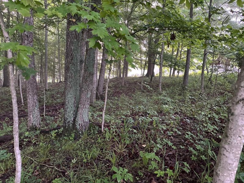 11583 Sinking Spring Road, Hillsboro, OH 45133 Photo 18