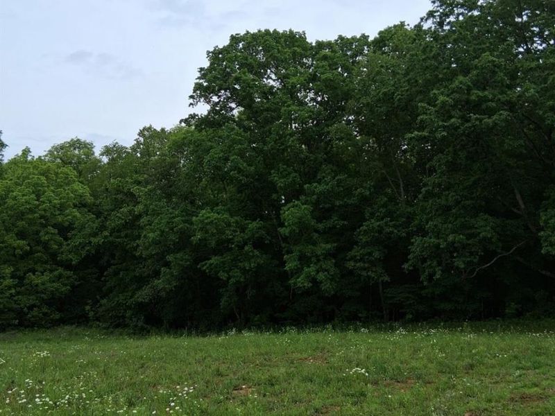 11583 Sinking Spring Road, Hillsboro, OH 45133 Photo 2