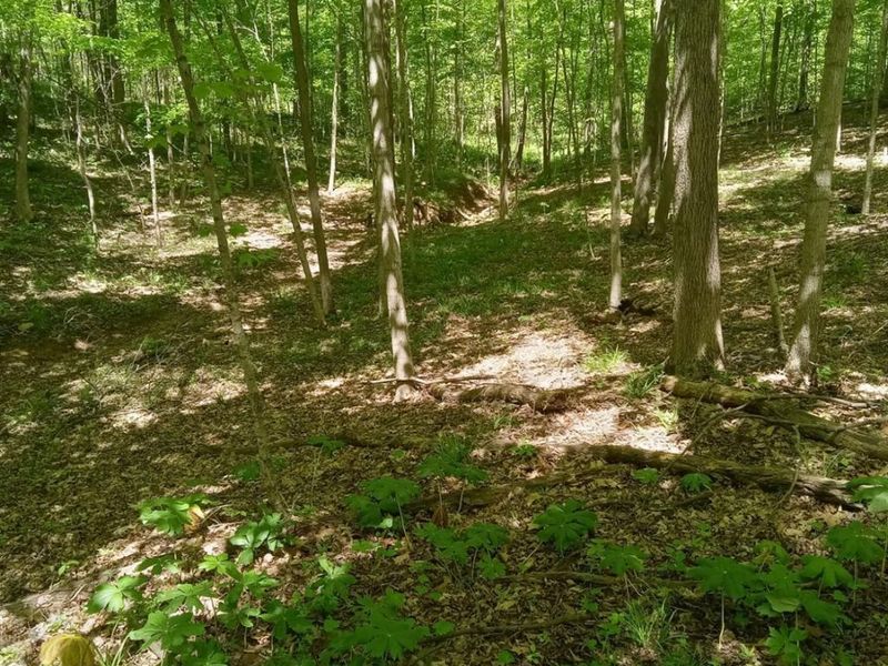 11583 Sinking Spring Road, Hillsboro, OH 45133 Photo 6