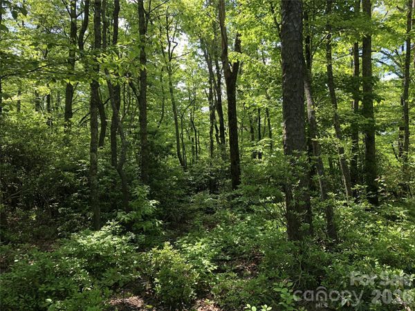000 Millard Crossing , Hendersonville, NC 28792