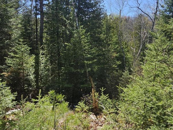 2.95 AC Squires Drive, Mio, MI 48647