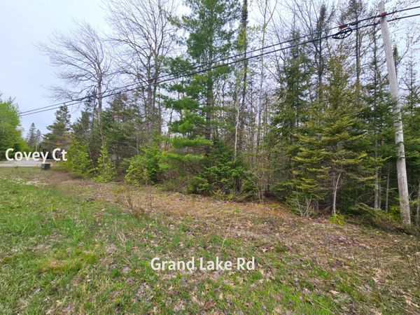 Lot 204 Esau Terrace, Presque Isle, MI 49777
