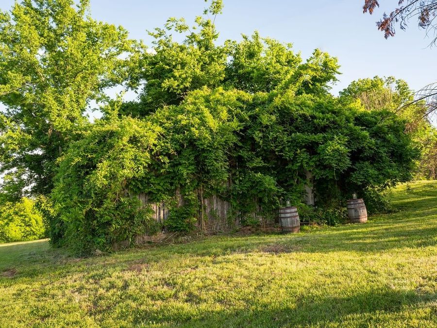 Property Image 52