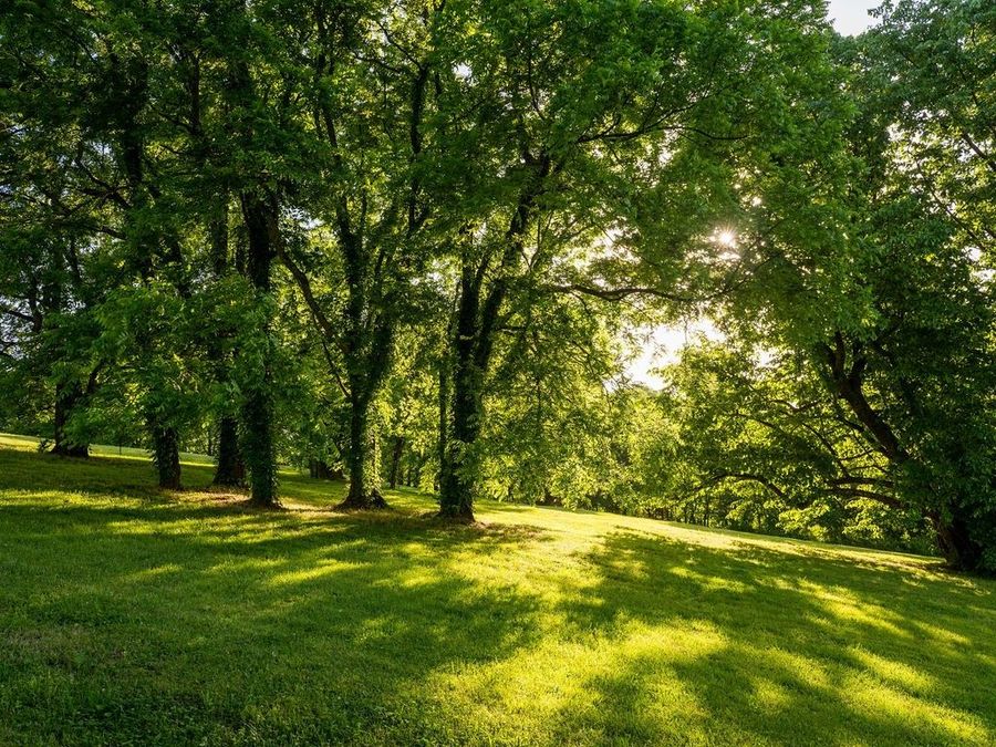 Property Image 58