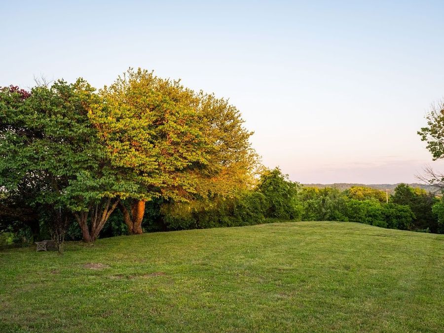 Property Image 65