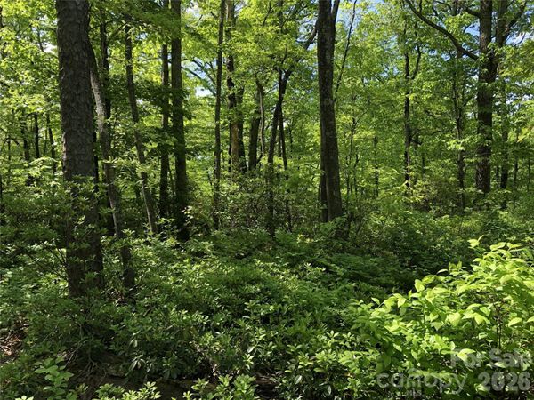 00 Millard Crossing , Hendersonville, NC 28792